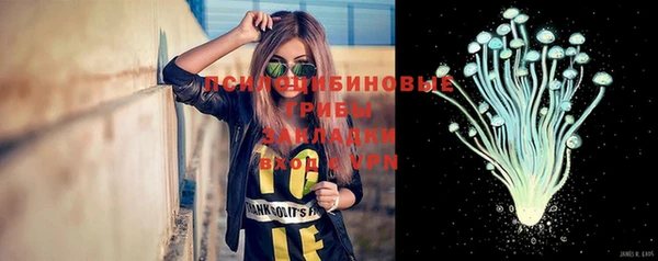 метадон Белокуриха