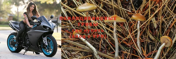 прущая мука Белоозёрский