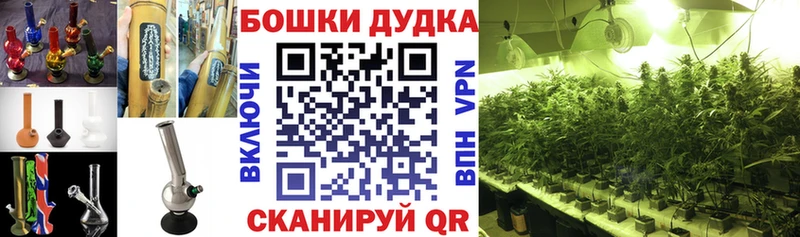 цены   Великий Устюг  Шишки марихуана OG Kush 